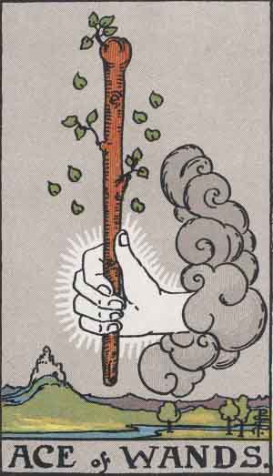 Ace of Wands tarot card - High Resolution