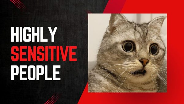 HSP: The Brutally Honest Guide for Highly Sensitive People (Why You Feel Too Much + How to Stop Getting Manipulated)